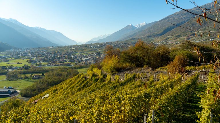 Valtellina