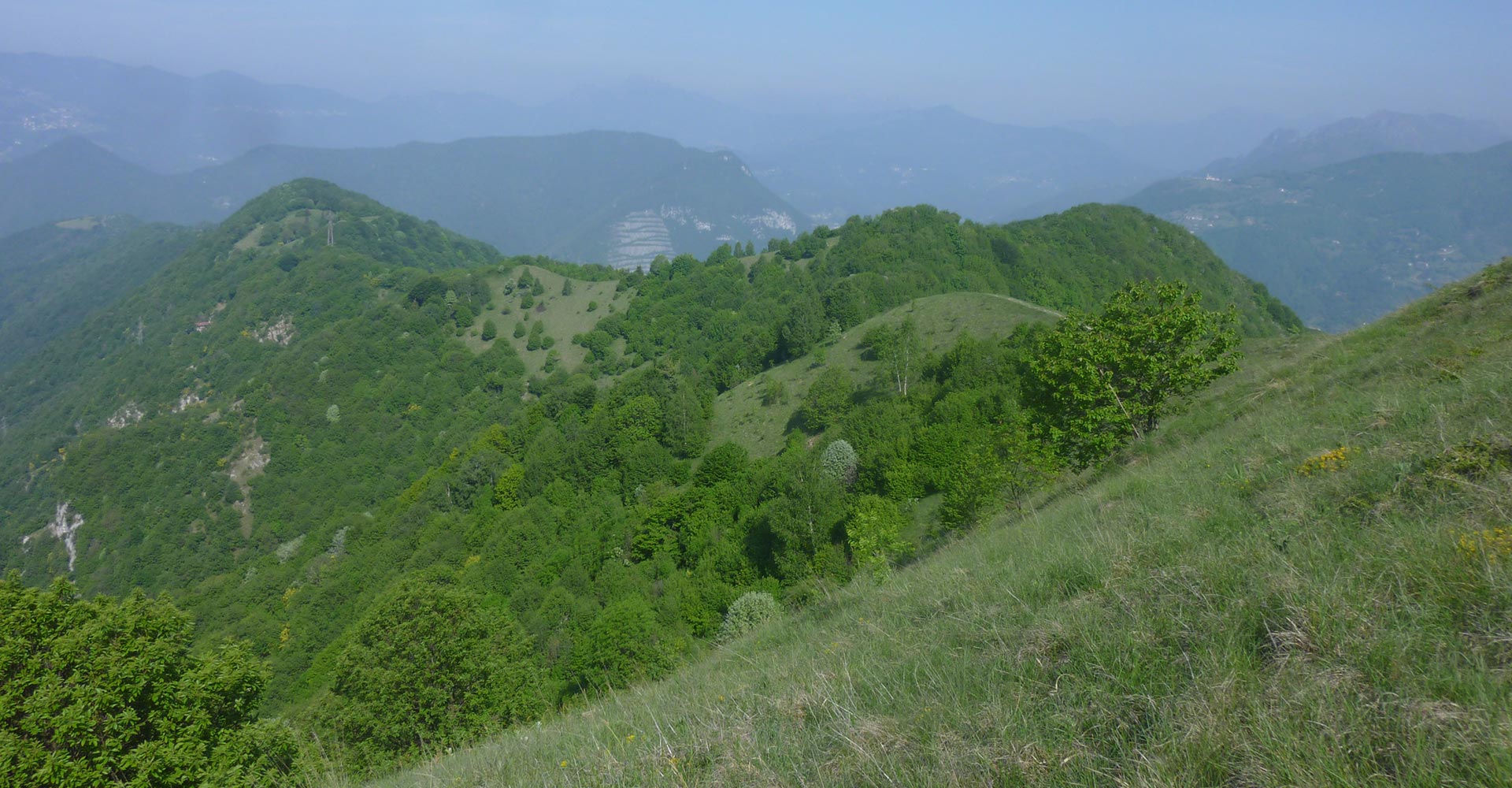 Gal dei Colli Di Bergamo e del Canto Alto